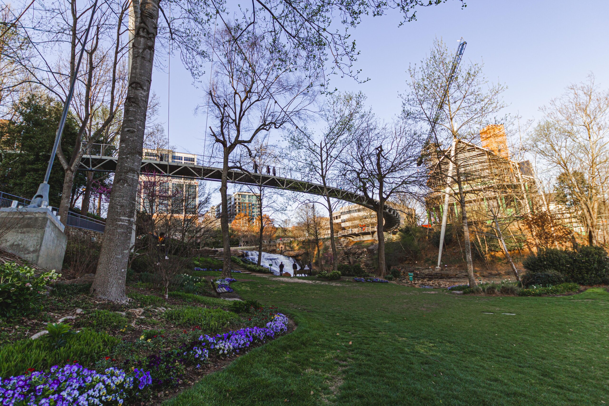 Downtown Greenville